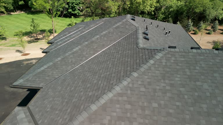 Best Roof Ventilation Installation  in Steele Creek, AK