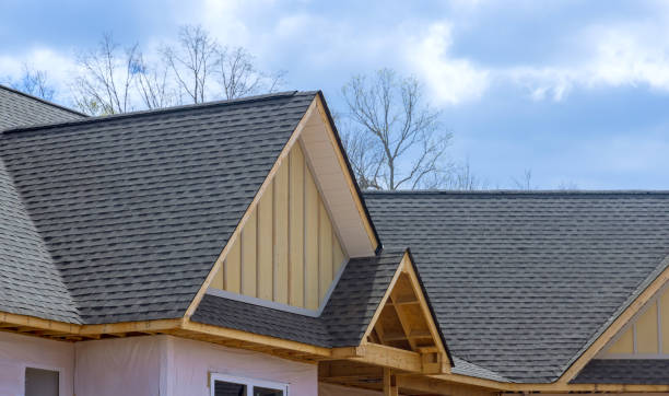 Best Asphalt Shingle Roofing  in Steele Creek, AK