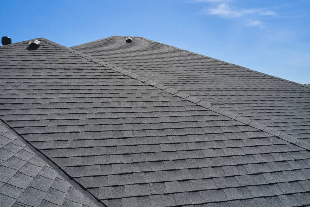 Cold Roofs in Steele Creek, AK